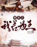 明末之我若为王小说