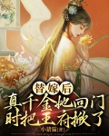 替嫁皇后要休夫