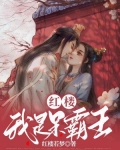 红楼：我是呆霸王