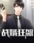 战婿狂飙