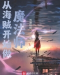 从海贼开始做魔法师