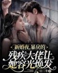 新婚夜,暴戾的残疾大佬让她容光焕发