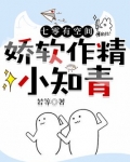 七零有空间:娇软作精小知青作者:若等