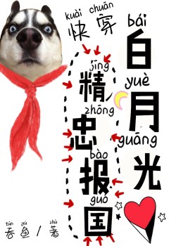 白月光精忠报国[快穿] 小说