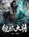海贼之银狐大将