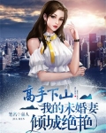高手下山:我的未婚妻倾城绝艳