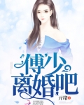 傅少离婚吧全文免费阅读傅砚安