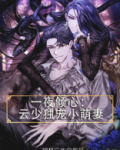 一夜倾心:云少独宠小萌妻