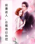 前妻太迷人,总裁请自重 心月
