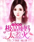 千亿萌宝，极品辣妈太惹火