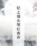 墙头等红杏出墙