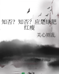 知否知否应是绿肥红瘦剧情介绍