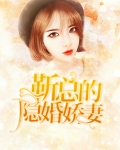隐婚娇妻太惹火 小说