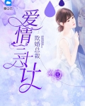 欺婚总裁：爱情三十六计