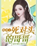 我渣了死对头的哥哥明七司南