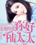 先婚厚爱:你好,陆太太