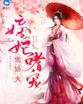 傲娇王爷宠妃入骨