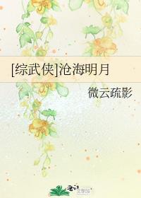 [综武侠]沧海明月