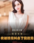 相亲失败，我被校花叫去了民政局