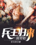 兵王归来 小说