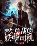 冰山总裁的妖孽兵王免费阅读