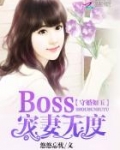 守婚如玉boss宠妻无度简介