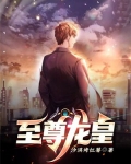 至尊龙皇全集在线观看