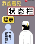 我能看见状态栏小说