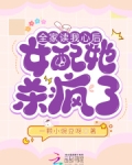 穿书我们全家皆反派刘白