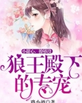 狼王殿下的专宠：小甜心，撩够没