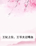 王妃上位，王爷太过嗜血