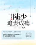 陆少追妻成瘾