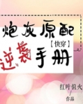 炮灰原配逆袭手册txt
