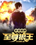 女总裁的至尊兵王 小说