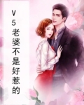 老婆不好惹视频