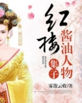 红楼酱油人物集子晋江
