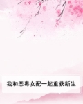 与恶毒女配对我笑相似小说
