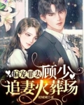 偏宠罪妻：顾少，追妻火葬场