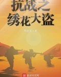 抗日战争绣花针