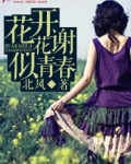 青春的花开花谢是什么歌