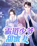 霸道少爷系列