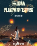 三国从孔雀东南飞开始起点