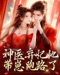 小说 神医弃妃