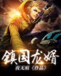 镇国龙婿全集在线观看