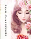 萌宝来袭拐个爹地宠妈咪