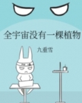 全宇宙没有一棵植物番外