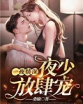 一夜情深：夜少放肆宠