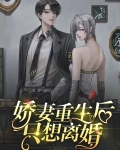 重生娇妻要离婚免费慕战北