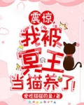 震惊，我被冥王当猫养了！