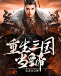 重生三国当皇蒂